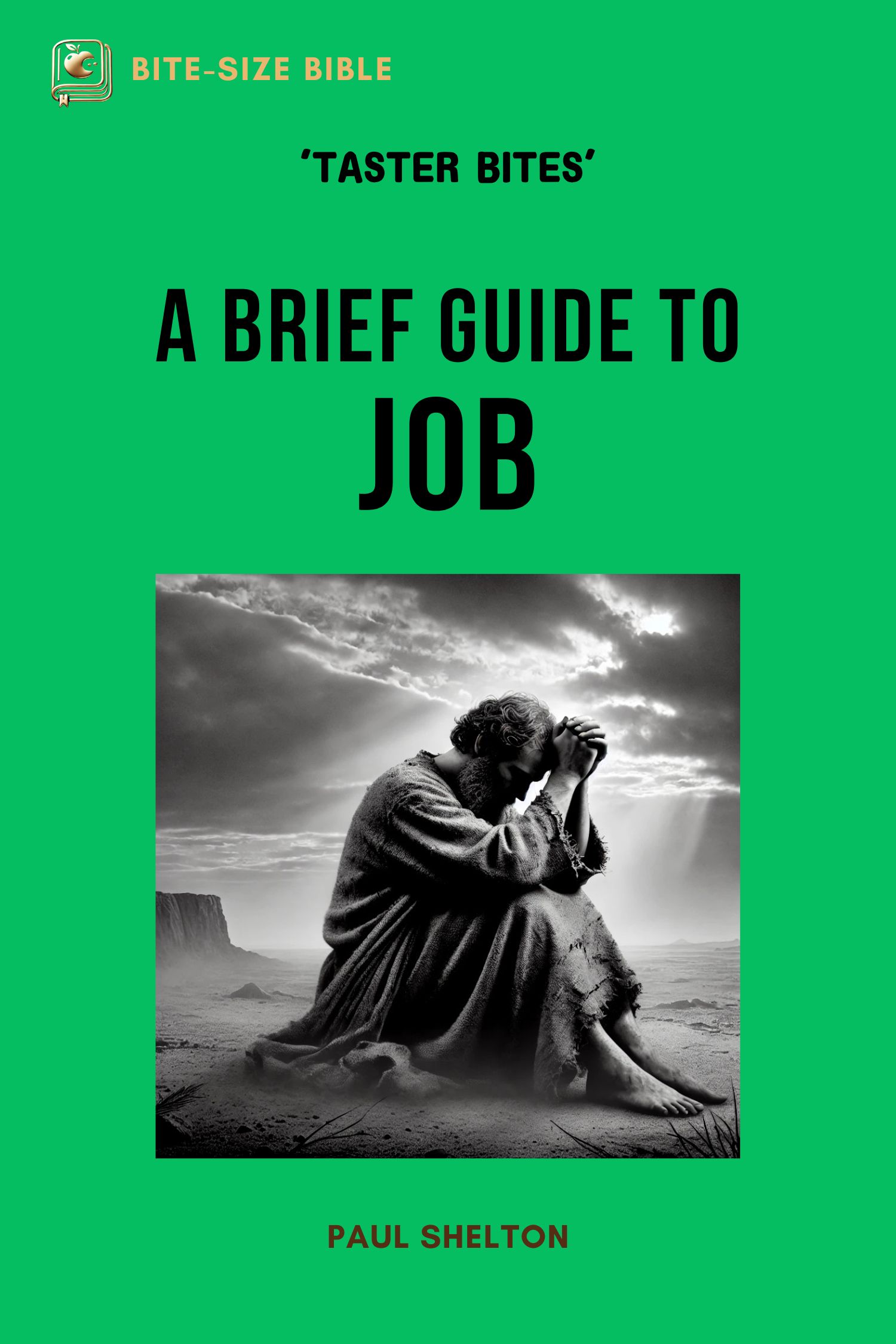 Job Bible Study Guide Book