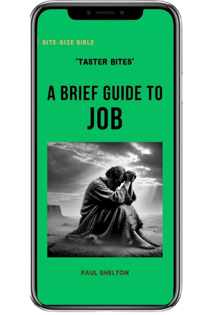 Job Bible App Bible Study Guide