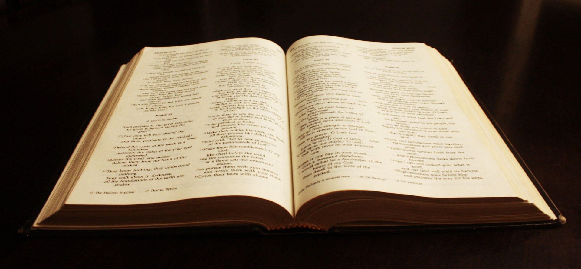Bitesize Bible New Testament Image